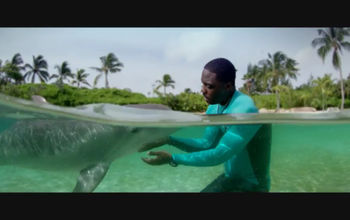 Blue Project Atlantis - World Oceans Day!