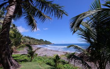 A beach on Dominica