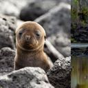 Change the Way You See the World – Save up to $4,000 + $250 Credit