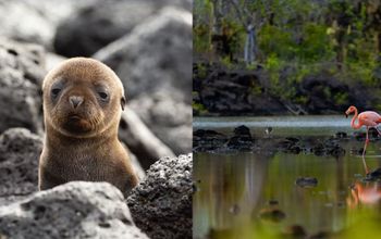 Change the Way You See the World – Save up to $4,000 + $250 Credit