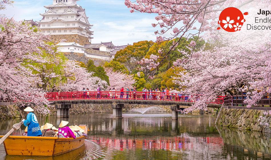 Boat ride on the moat of Himeji Castle with cherry blossoms in Japan.