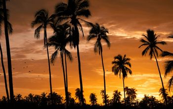 Baja Radiance by Classic Vacations® - Stay 4 or More Nights and Receive $220 in Resort Credit