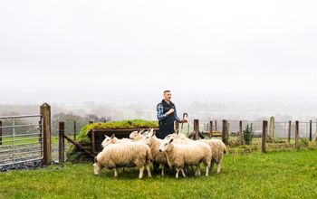 Contiki Releases Portfolio of 2026 Europe Tours