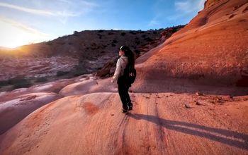 Expedition Cruising with National Geographic-Lindblad Expeditions