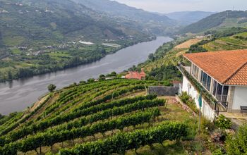 Portugal's Duoro Valley