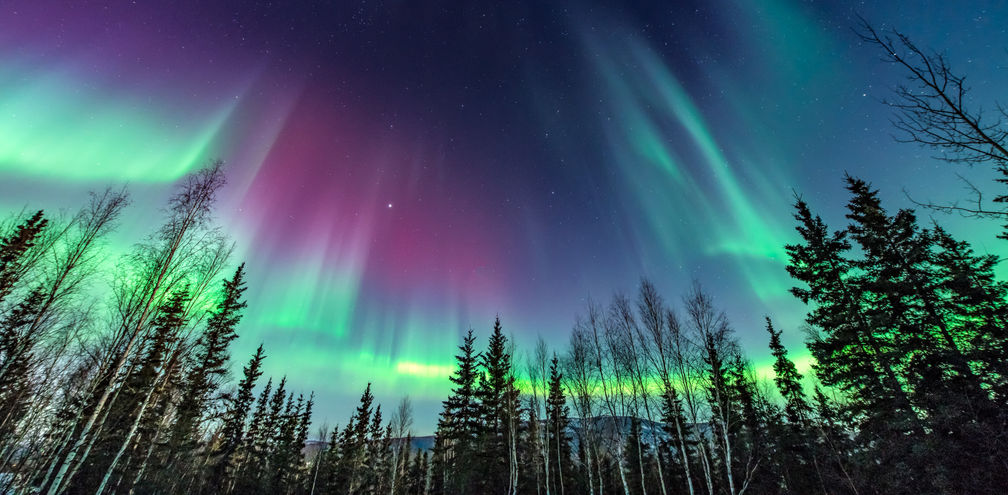 Purple and green aurora in Fairbanks, Alaska