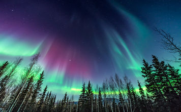 Purple and green aurora in Fairbanks, Alaska
