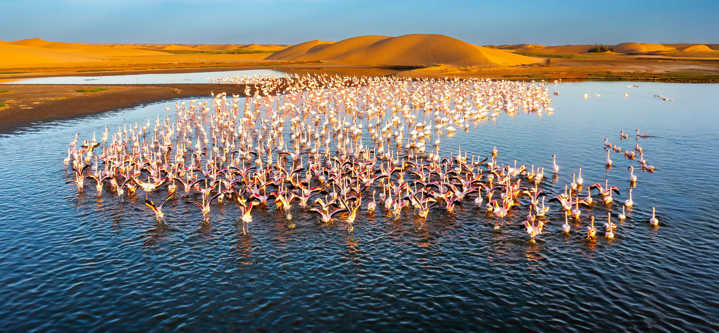 Image: (Courtesy of Collette)