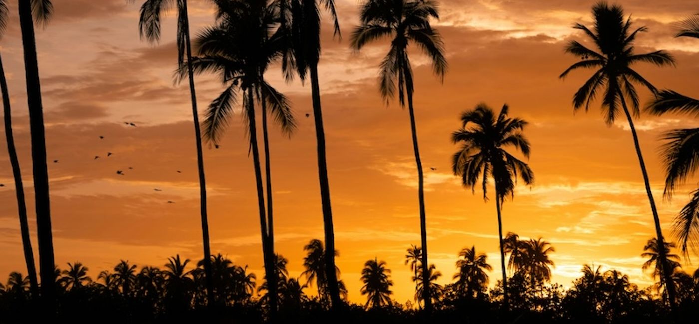 Image: Classic Vacations