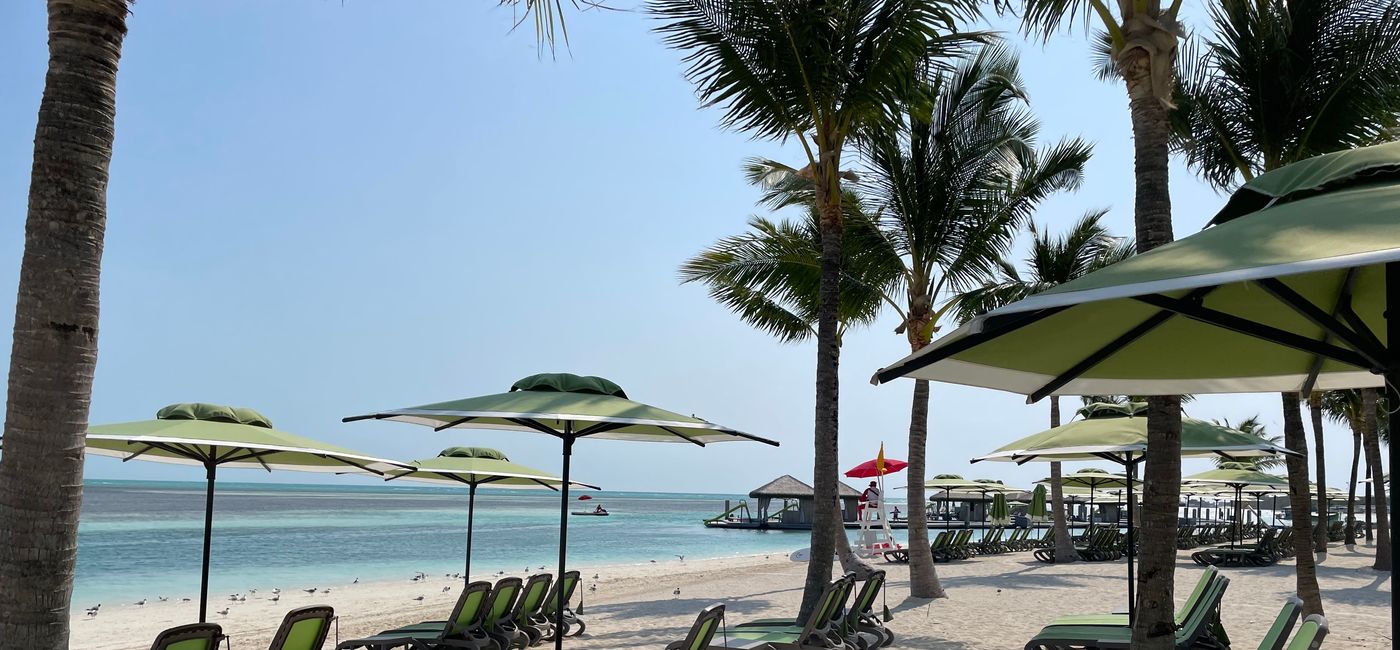 Image: Coco Beach Club at Perfect Day at CocoCay (Photo Credit: Sarah Kuta)
