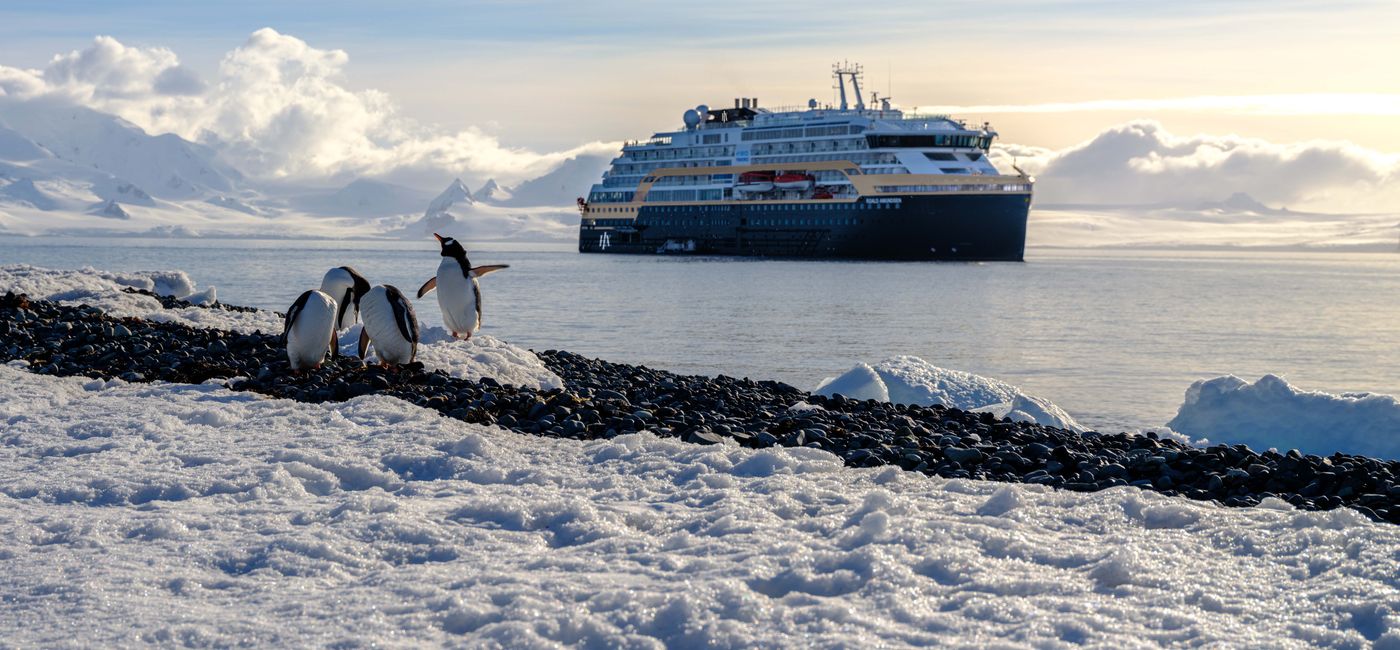 Image: Penguins in Antarctica in front of the MS Roald Amundsen (Photo Credit: HX Expeditions)