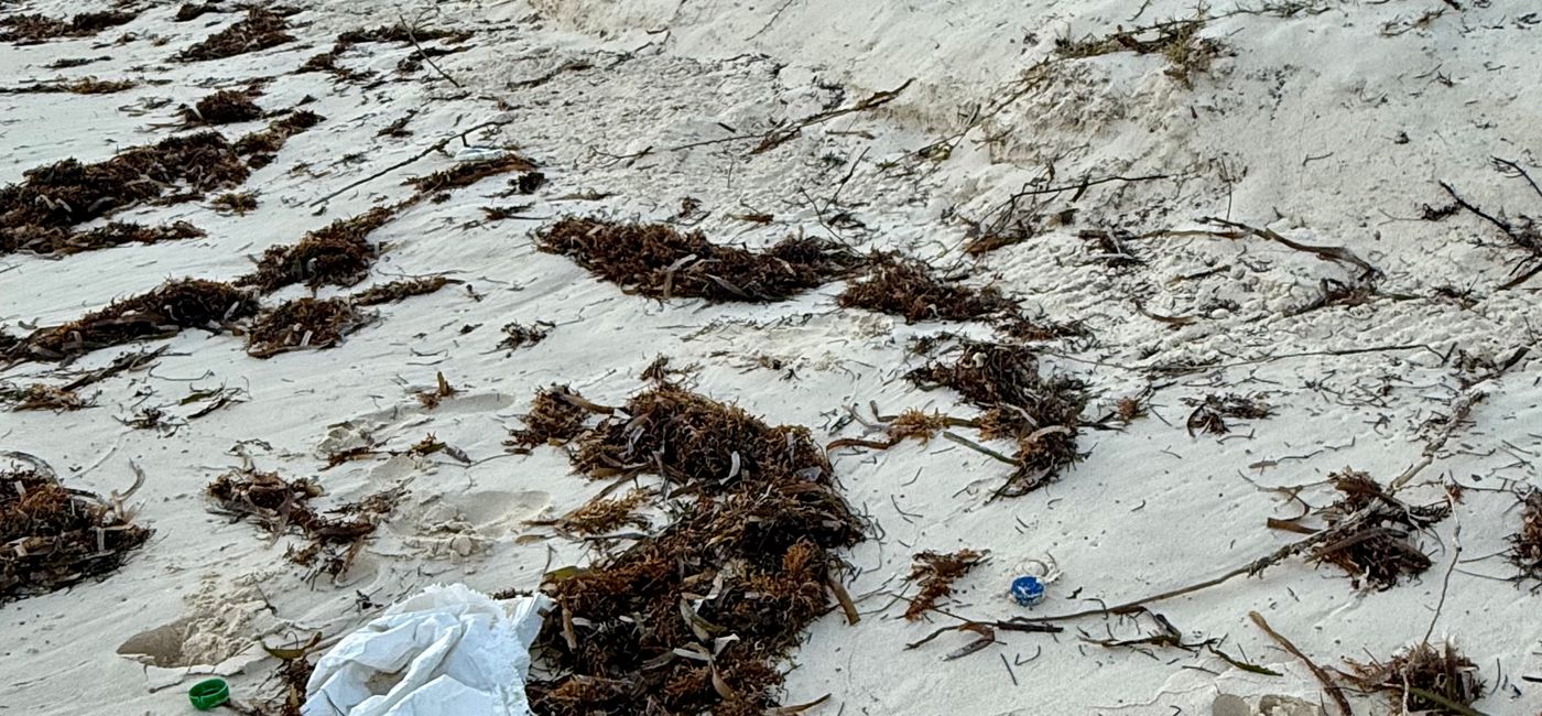 Image: Plastic waste on a beach in Turks and Caicos. (Photo Credit: Photo by Mia Taylor)