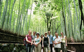 InsideJapan Tours, tours in Japan, Japan, Kyoto, japan tours, arashiyama, bamboo, bamboo forest