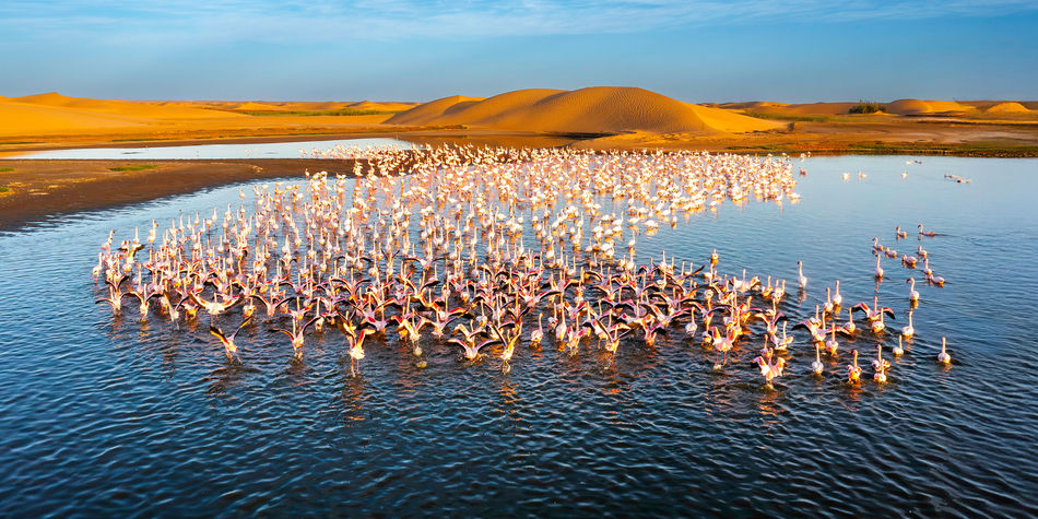 Kick Off 2026 With Big Savings — Up to $1,500 Off Worldwide Tours