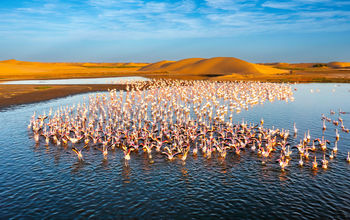 Kick Off 2026 With Big Savings — Up to $1,500 Off Worldwide Tours