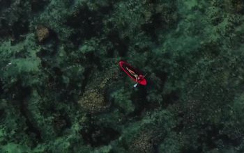 Make Your Business Dreams Reality