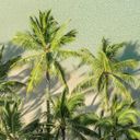 More Value, More Aloha: Up to $200 Instant Booking Credit