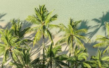 More Value, More Aloha: Up to $200 Instant Booking Credit