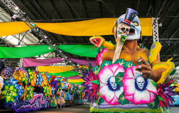Mardi Gras, New Orleans