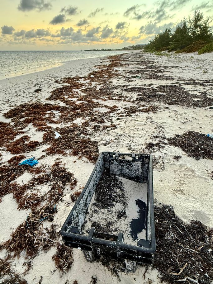 Plastic pollution on a beach in Turks and Caicos