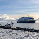 Penguins in Antarctica in front of the MS Roald Amundsen