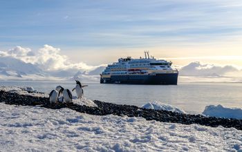 Penguins in Antarctica in front of the MS Roald Amundsen