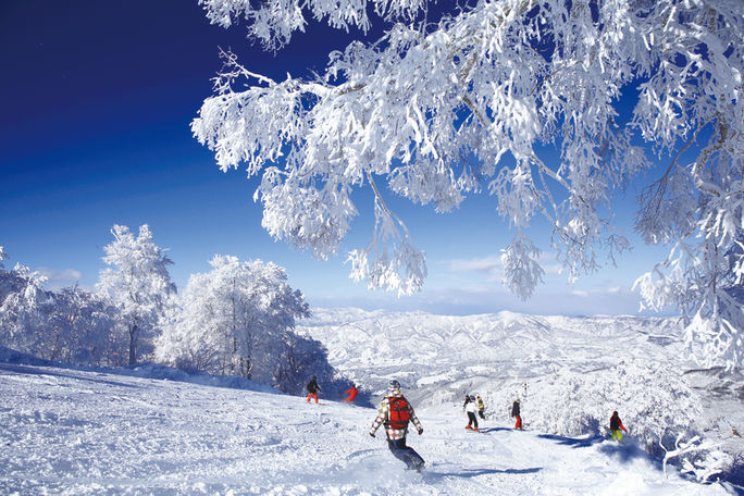 Nagano Prefecture, ski destinations, skiing, skiing in japan