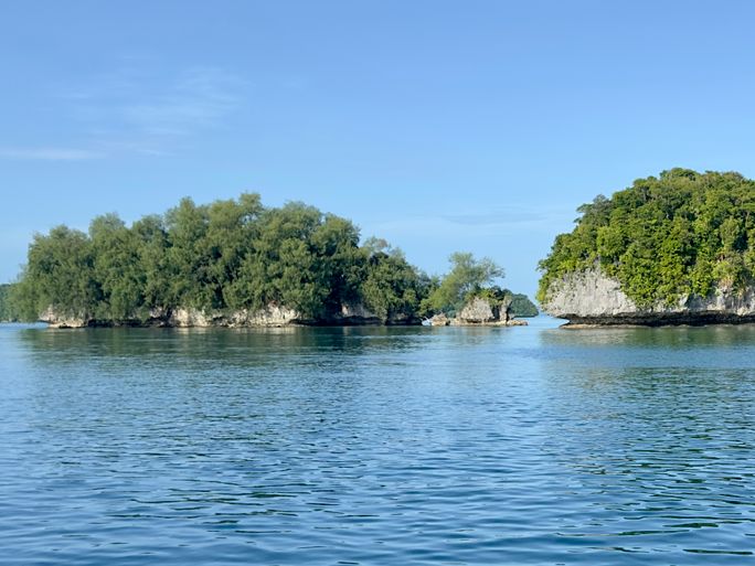 Some of Palau's lush islets.