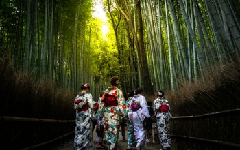 Swan Hellenic, japan cruise