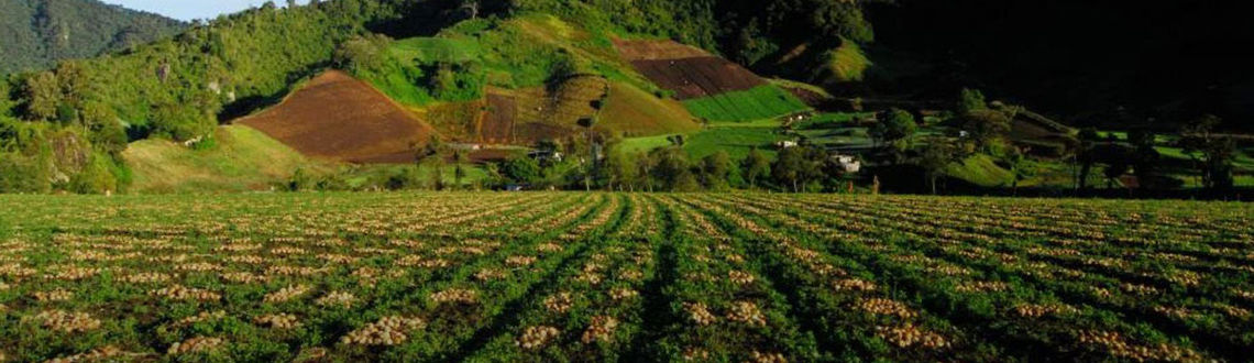 Take your pick from endless options when you visit Panama