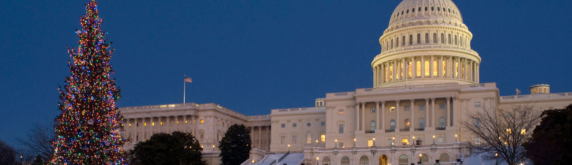 Christmas, holidays, tree, National Mall, Capitol Building, Washington DC