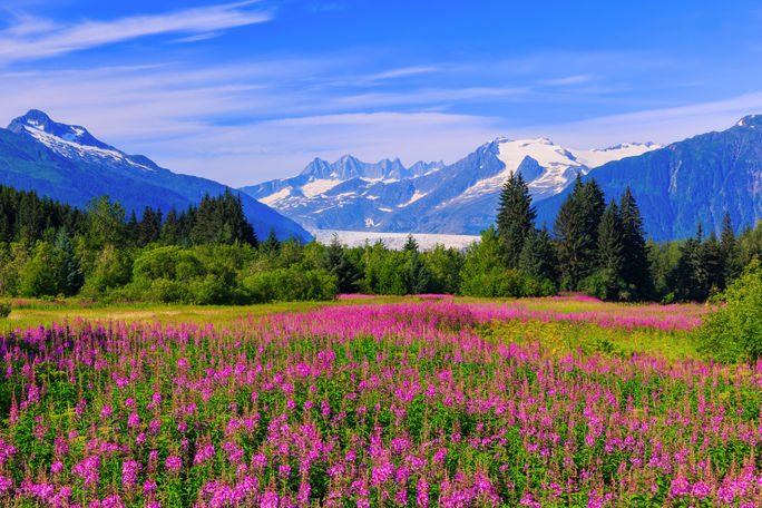 The Mendenhall Glacier Viewpoint in Juneau, Alaska.