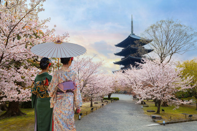 Toji Temple in Kyoto, Japan during sakura season.