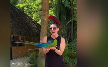 Winner of the #DRwithNTG Video Contest: Jessica Gray